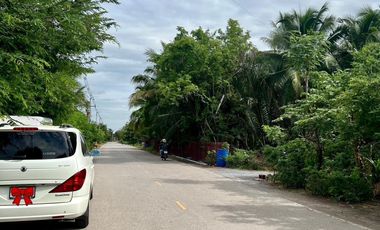 Land for sale in Lak Sam, Samut Sakhon