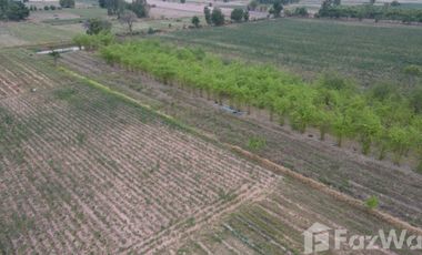 Land for sale in Nai Mueang, Khon Kaen
