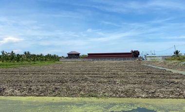 Land for sale in Chai Mongkhon, Samut Sakhon