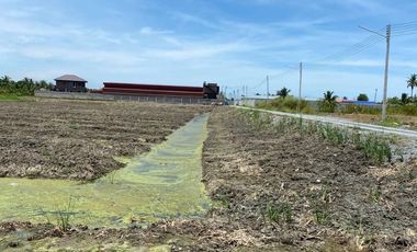 Land for sale in Chai Mongkhon, Samut Sakhon