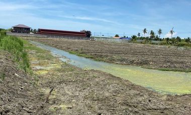 Land for sale in Chai Mongkhon, Samut Sakhon