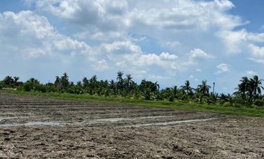 Land for sale in Chai Mongkhon, Samut Sakhon