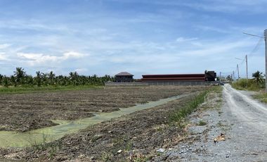 Land for sale in Chai Mongkhon, Samut Sakhon