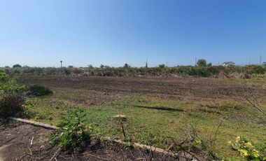 Land for sale in Don Khoi, Nakhon Pathom