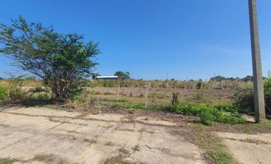 Land for sale in Don Khoi, Nakhon Pathom