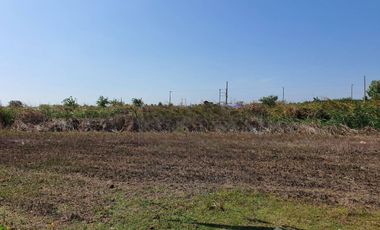 Land for sale in Don Khoi, Nakhon Pathom