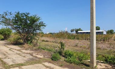 Land for sale in Don Khoi, Nakhon Pathom