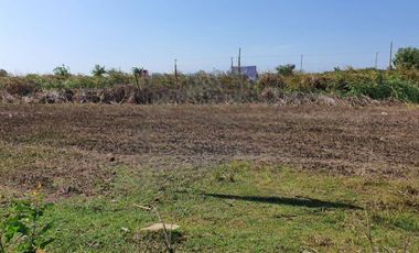 Land for sale in Don Khoi, Nakhon Pathom