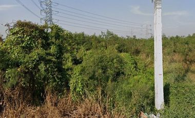 Land for sale in Ban Phaeo, Samut Sakhon