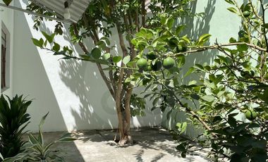 Casa en renta en Villa Corona Centro