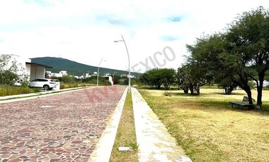 VENTA TERRENO HABITACIONAL de 195m2 en Residencial El Encino, S. del Abeto Lt.2