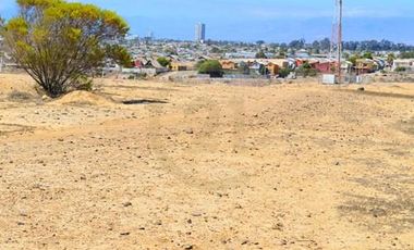 Se vende terreno de 64.000 m2 en Herradura Oriente