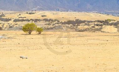 Se vende terreno de 64.000 m2 en Herradura Oriente