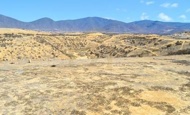 Se vende terreno de 64.000 m2 en Herradura Oriente