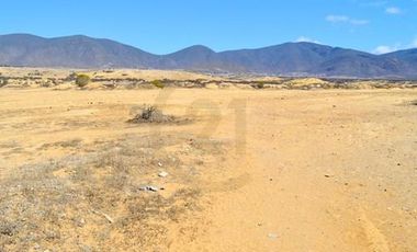 Se vende terreno de 64.000 m2 en Herradura Oriente