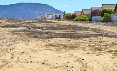 Se vende terreno de 64.000 m2 en Herradura Oriente