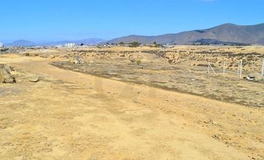 Se vende terreno de 64.000 m2 en Herradura Oriente