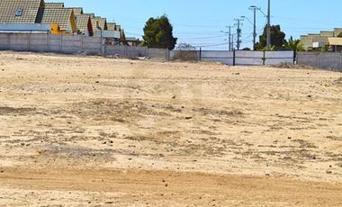 Se vende terreno de 64.000 m2 en Herradura Oriente
