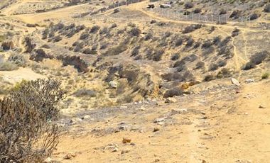 Se vende terreno de 64.000 m2 en Herradura Oriente