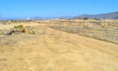 Se vende terreno de 64.000 m2 en Herradura Oriente