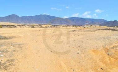 Se vende terreno de 64.000 m2 en Herradura Oriente