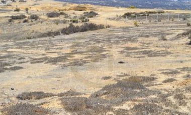 Se vende terreno de 64.000 m2 en Herradura Oriente