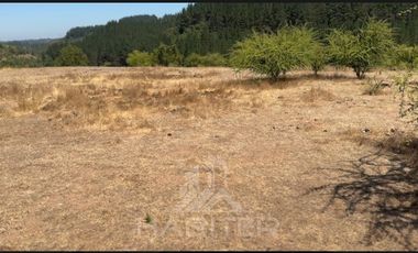 Parcela en Venta en sector Quebrada Honda, La Envidia