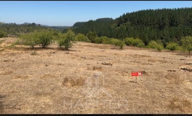 Parcela en Venta en sector Quebrada Honda, La Envidia