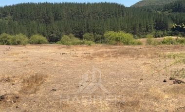 Parcela en Venta en sector Quebrada Honda, La Envidia