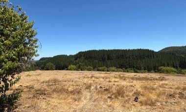 Parcela en Venta en sector Quebrada Honda, La Envidia