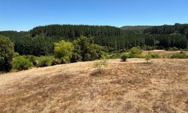 Parcela en Venta en sector Quebrada Honda, La Envidia