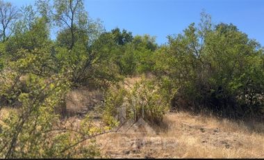 Parcela en Venta en sector Quebrada Honda, La Envidia