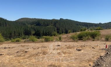 Parcela en Venta en sector Quebrada Honda, La Envidia