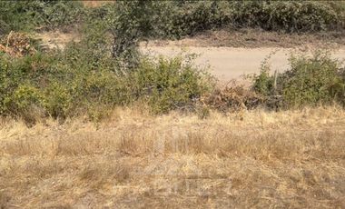 Parcela en Venta en sector Quebrada Honda, La Envidia