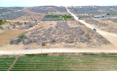 Terreno plano en Todos Santos Huerta and Mountain View Lot