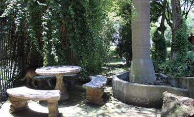 Espectacular casa arbolada en Venta en Malinalco