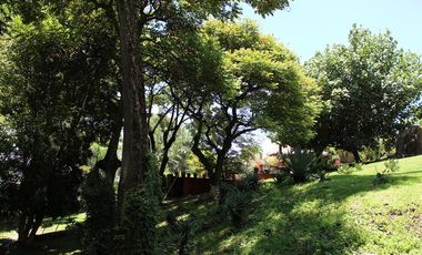 Espectacular casa arbolada en Venta en Malinalco