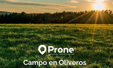 VENTA -  20 Hectáreas de Campo Suelo 1 en Oliveros