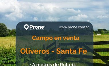 VENTA -  20 Hectáreas de Campo Suelo 1 en Oliveros