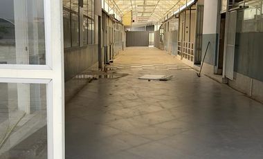 SE ALQUILA Gran Local Comercial en avenida principal 2500 m2 LOS OLIVOS
