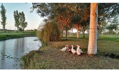 Venta terreno barrio residencial pinares del sur