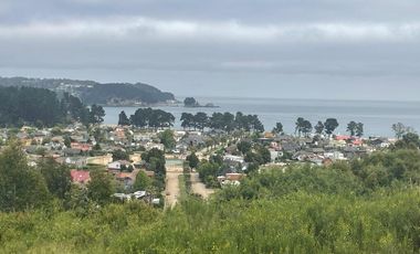 Lomas de Pingueral