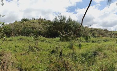 Venta De Finca En San Vicente Ferrer Vda Chaparral