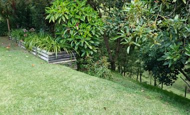 Venta De Finca En San Vicente Ferrer Vda Chaparral