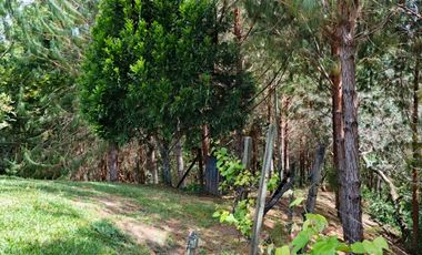 Venta De Finca En San Vicente Ferrer Vda Chaparral