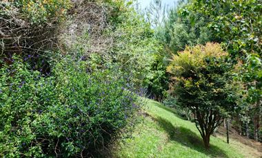 Venta De Finca En San Vicente Ferrer Vda Chaparral