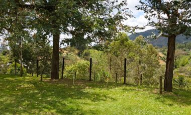 Venta De Finca En San Vicente Ferrer Vda Chaparral