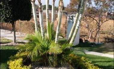 Casa en condominio en  Venta en Lomas de Cocoyoc, Atlatlahuacan Morelos Cuernavaca