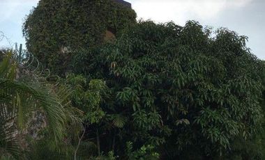 Casa en condominio en  Venta en Lomas de Cocoyoc, Atlatlahuacan Morelos Cuernavaca