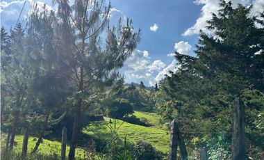 Venta de finca en el tambo